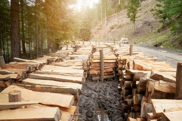 Trozos Árboles Cortados Bosque Montaña Concepto Deforestación — Foto de Stock