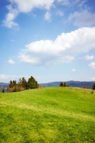 View Pieniny Pienin Mountains Sunny Day Poland — Stock Photo, Image