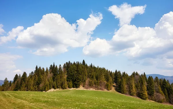 Berglandschap Een Zonnige Dag Pienin Mountains Polen — Stockfoto