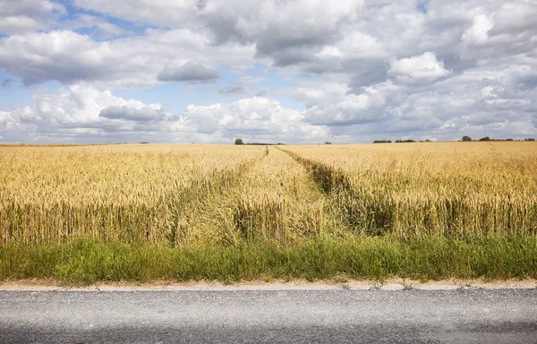 Crop Field Country Asphalt Road Scenic Cloudscape — Foto de Stock
