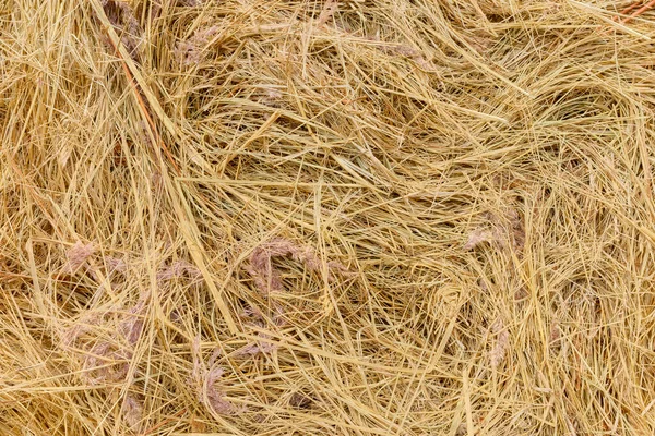 Close Picture Hay Bale Abstract Natural Background — Zdjęcie stockowe