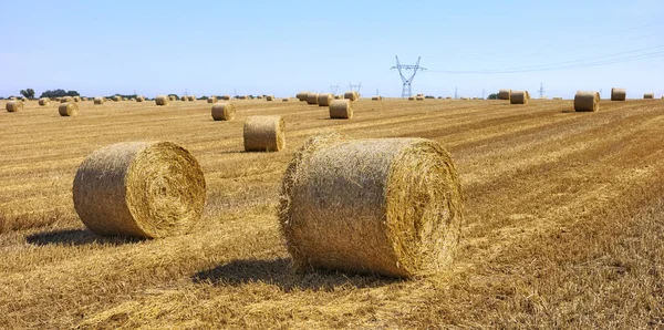 Summer Rural Panorama Hay Bales Field — Stock fotografie