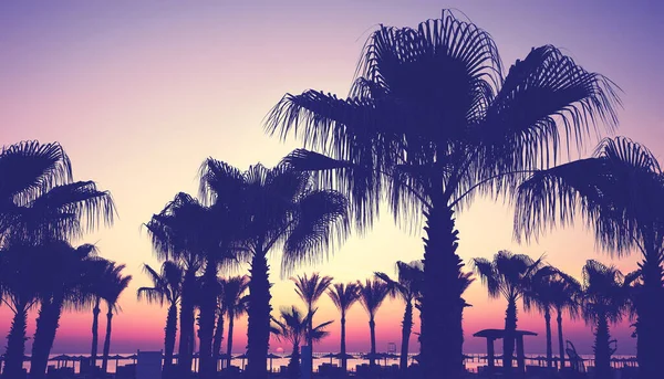Silhouetten Von Palmen Strand Bei Sonnenaufgang Farbtonung Aufgetragen Ägypten — Stockfoto
