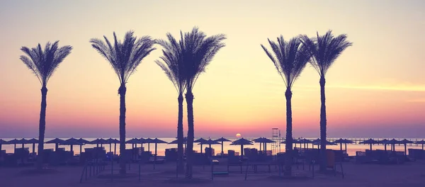 Sylwetki Palm Plaży Wschodzie Słońca Zastosowane Tonowanie Kolorów Egipt — Zdjęcie stockowe