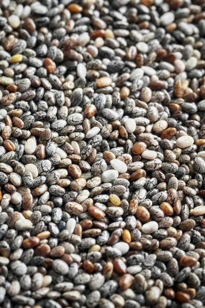 Close Picture Chia Seeds Selective Focus — Stock fotografie