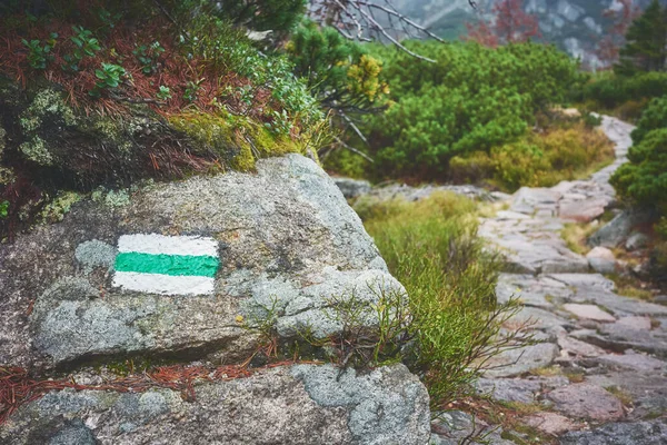 Trail marking painted on a rock in Giant Mountains on a foggy autumn day, color toning applied, selective focus, Poland.