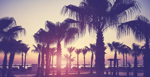 Silhouetten Von Palmen Strand Bei Sonnenuntergang Farbtonung Aufgetragen Ägypten — Stockfoto
