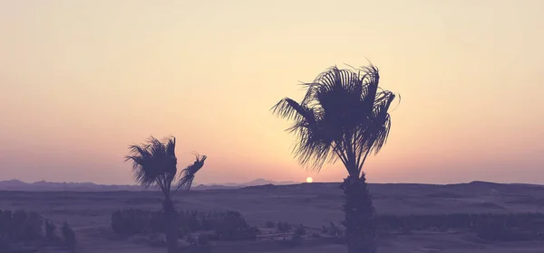 Solnedgång Över Öknen Färg Toning Tillämpas Egypten — Stockfoto