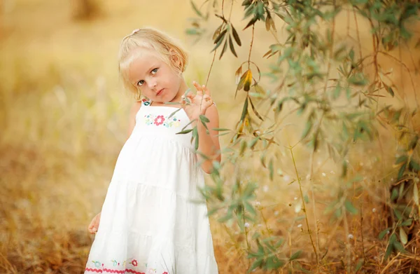 Cute little girl walks in the olive grove — Stock Photo, Image