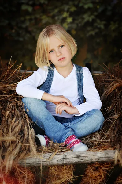 Schattig klein meisje, zittend op een kar met hooi — Stockfoto