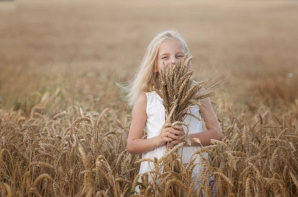 Little girl walks on a field of wheat — Stock Photo, Image