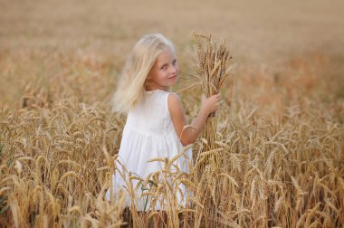 küçük kız buğday bir alana yürür