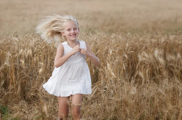 Klein meisje wandelt op een gebied van tarwe — Stockfoto