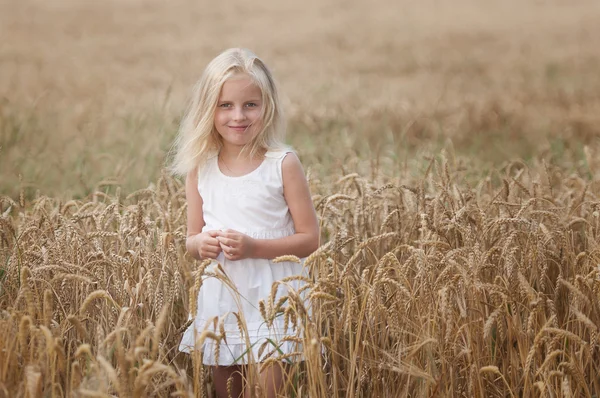 Liten flicka går på ett område av vete — Stockfoto