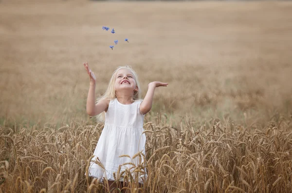 Liten flicka går på ett område av vete — Stockfoto