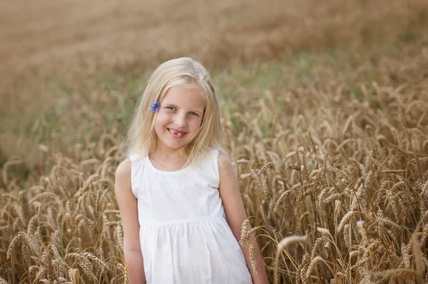 Küçük kız buğday bir alana yürür — Stok fotoğraf