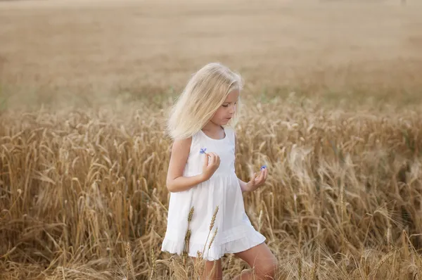 Klein meisje wandelt op een gebied van tarwe — Stockfoto