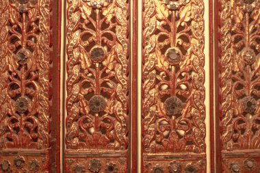 yüksek çözünürlükte doğal ağaç doku