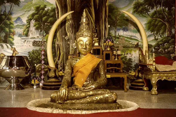 Buddha Image — Stock Photo, Image