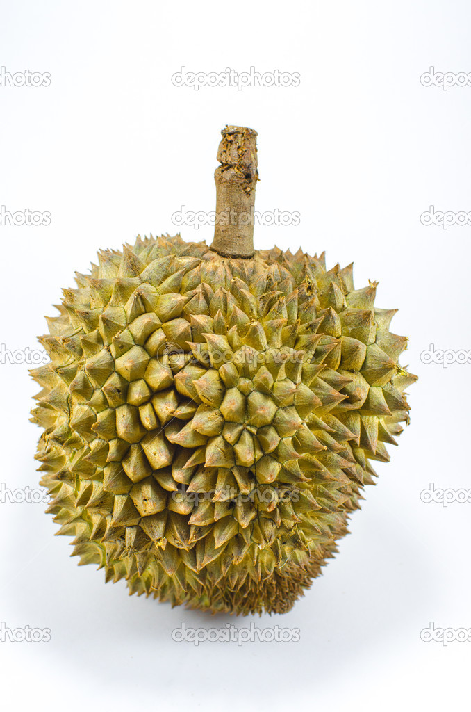 Close up of peeled durian isolated on white background