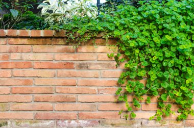 Tuğla duvar dokusunun arkaplanı