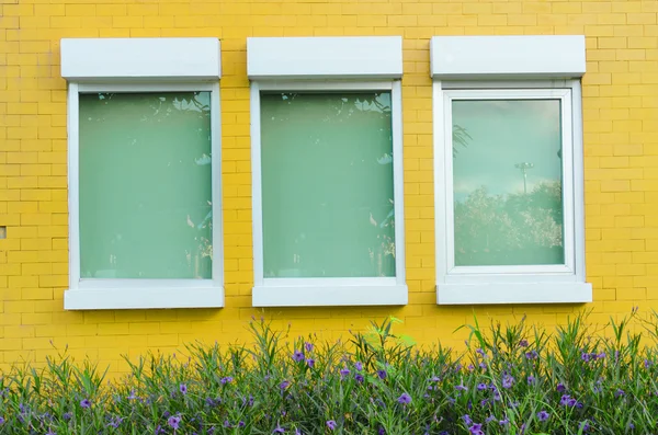 Muro di mattoni gialli con finestre piccola pianta e fiore — Foto Stock