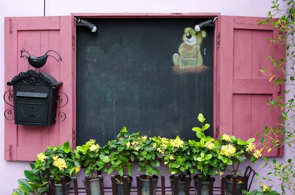 ピンクの窓や blackboa に成長している植物の鍋で黄色い花 — ストック写真