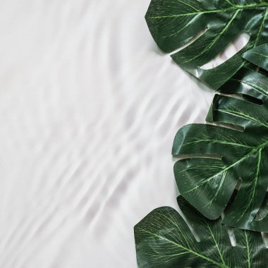 Tropikal yaprak ve çiçek yapılmış yaratıcı doğa düzeni. Düz yatıyordu. Yaz konsepti.