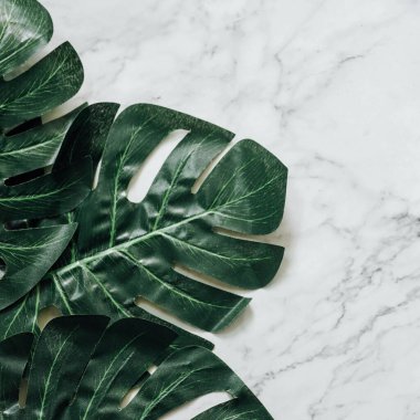 Tropikal yaprak ve çiçek yapılmış yaratıcı doğa düzeni. Düz yatıyordu. Yaz konsepti.