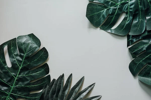 Tropikal yaprak ve çiçek yapılmış yaratıcı doğa düzeni. Düz yatıyordu. Yaz konsepti.