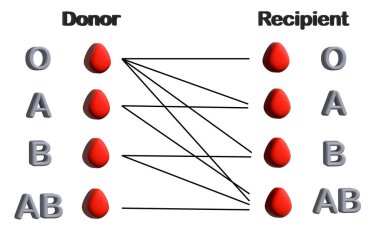 Alıcı ve Donör. Kan grupları (A, B, AB, O). Kan bağışlamak ve almak için gruplar arasında belirli bir uyumluluk vardır. 3B illüstrasyon