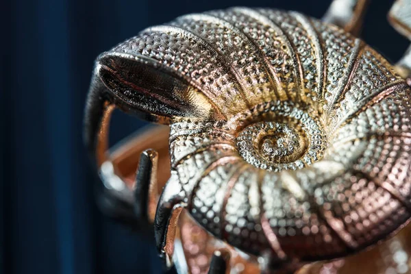 beautiful golden hair clip shaped like a shell