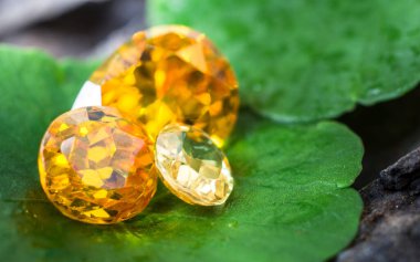 Doğal Safir değerli taş, mücevher veya siyah parlaklık rengi taşlar, birçok farklı doğal taşlar Ametist koleksiyonu,