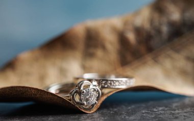 Yaprağın üzerine yerleştirilmiş elmas bir nişan yüzüğünün yakın çekimi. Aşk ve düğün kavramı.  