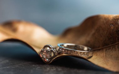 Yaprağın üzerine yerleştirilmiş elmas bir nişan yüzüğünün yakın çekimi. Aşk ve düğün kavramı.  