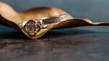 Nişan yüzüklerini kapatın. Aşk ve düğün kavramı.