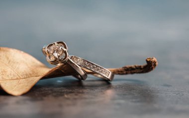 Yaprağın üzerine yerleştirilmiş elmas bir nişan yüzüğünün yakın çekimi. Aşk ve düğün kavramı.  