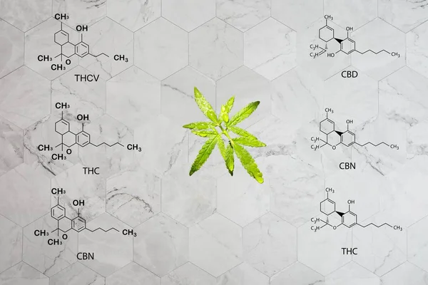 Cannabis Formel Cbd Skelett Cannabis Molekül Setzt Cannabis Formel Molekulare — Stockfoto
