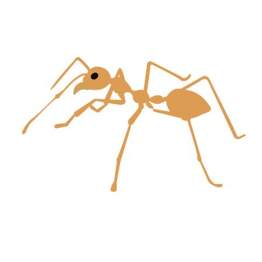 Kırmızı ithal ateş karıncaları, ateş karıncalarının hareketi