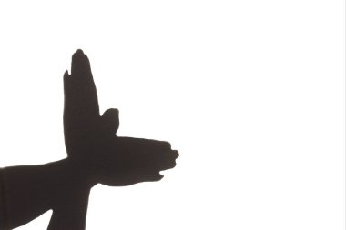 El gölgesi olan bir kuş gibi, el silueti gibi uçan bir kuş gibi.