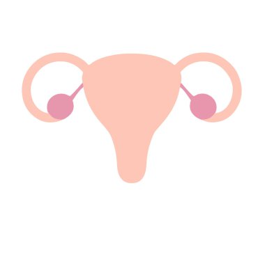 Düz biçimli kadın üreme sistemi renkli ikon kadın üreme sistemi