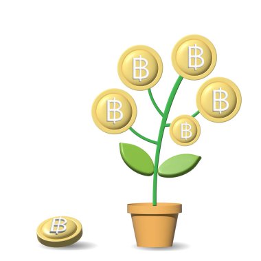 Altın Bitcoin bitkisi saksıda