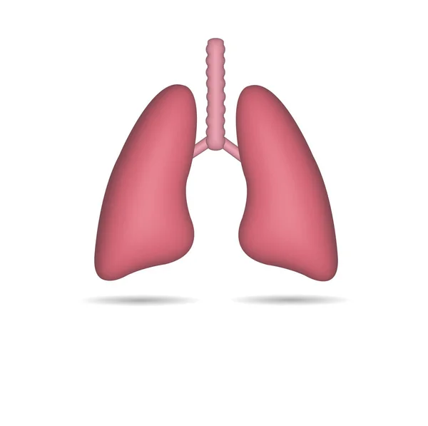 Realistische Lung Pictogram Geïsoleerd Van Witte Achtergrond — Stockfoto