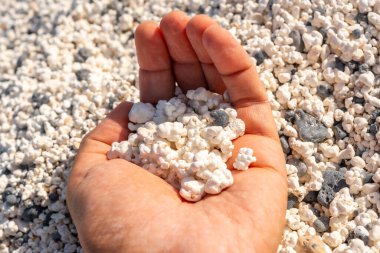 Fuerteventura Adası 'nın kuzeyindeki Corralejo kasabası yakınlarında patlamış mısır plajı. İspanya