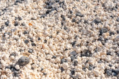 Fuerteventura, Kanarya Adaları 'nın kuzeyindeki Corralejo kasabası yakınlarındaki patlamış mısır plajının ayrıntıları. İspanya