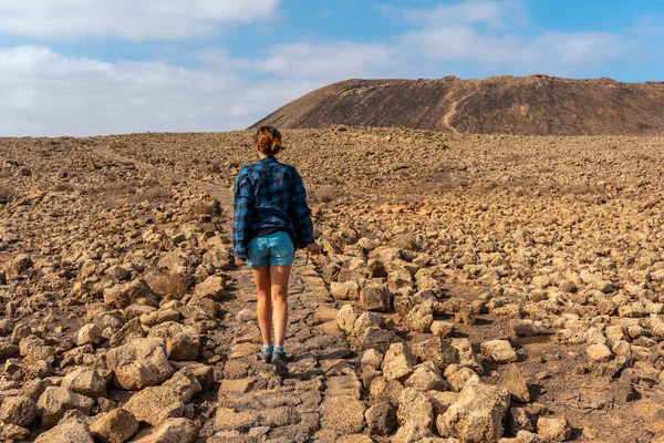 Stier Til Calderon Hondo Vulkanen Nær Corralejo Nordkysten Øen Fuerteventura - Stock-foto