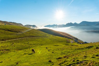 Sunrise at the top of Mount Larrau. In the forest or jungle of Irati, Pyrenees-Atlantiques of France clipart