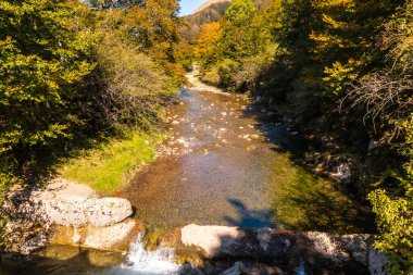 Irati forest or jungle in autumn, river towards the Irabia reservoir. Ochagavia, northern Navarra in Spain clipart