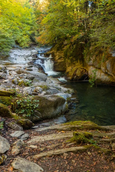 Irati Les Nebo Džungle Podzim Cubos Vodopád Ochagavia Severní Navarra — Stock fotografie