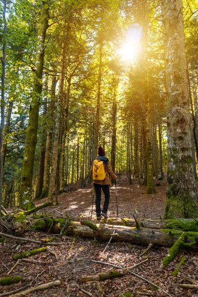 Floresta Selva Irati Outono Jovem Caminhante Desfrutando Trekking Pôr Sol — Fotografia de Stock